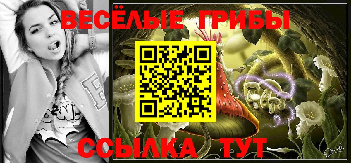 Псилоцибиновые грибы ЛСД  Вход с VPN  купить закладку  Мирный 