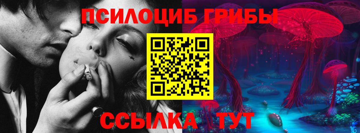 Псилоцибиновые грибы Psilocybine cubensis Мирный